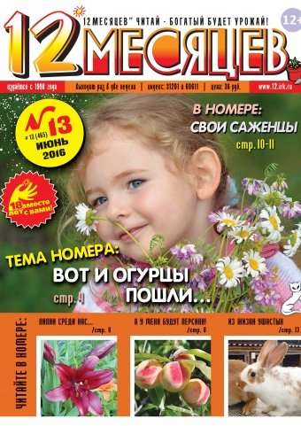 Magazine 12. Газета 12 месяцев. Иркутск журнал 12 месяцев.